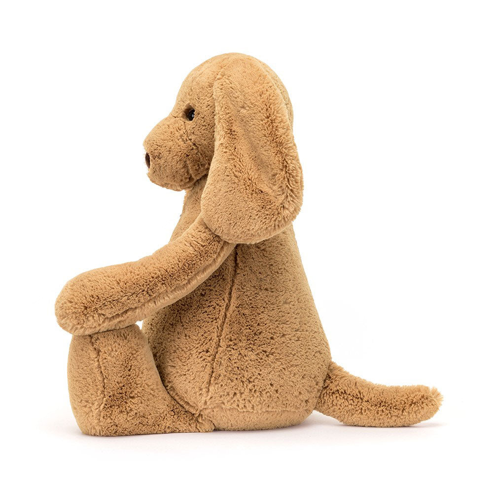Bashful Toffee Puppy
